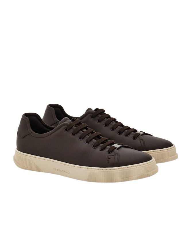 Ferragamo Elastic Lace Sneaker In Brown