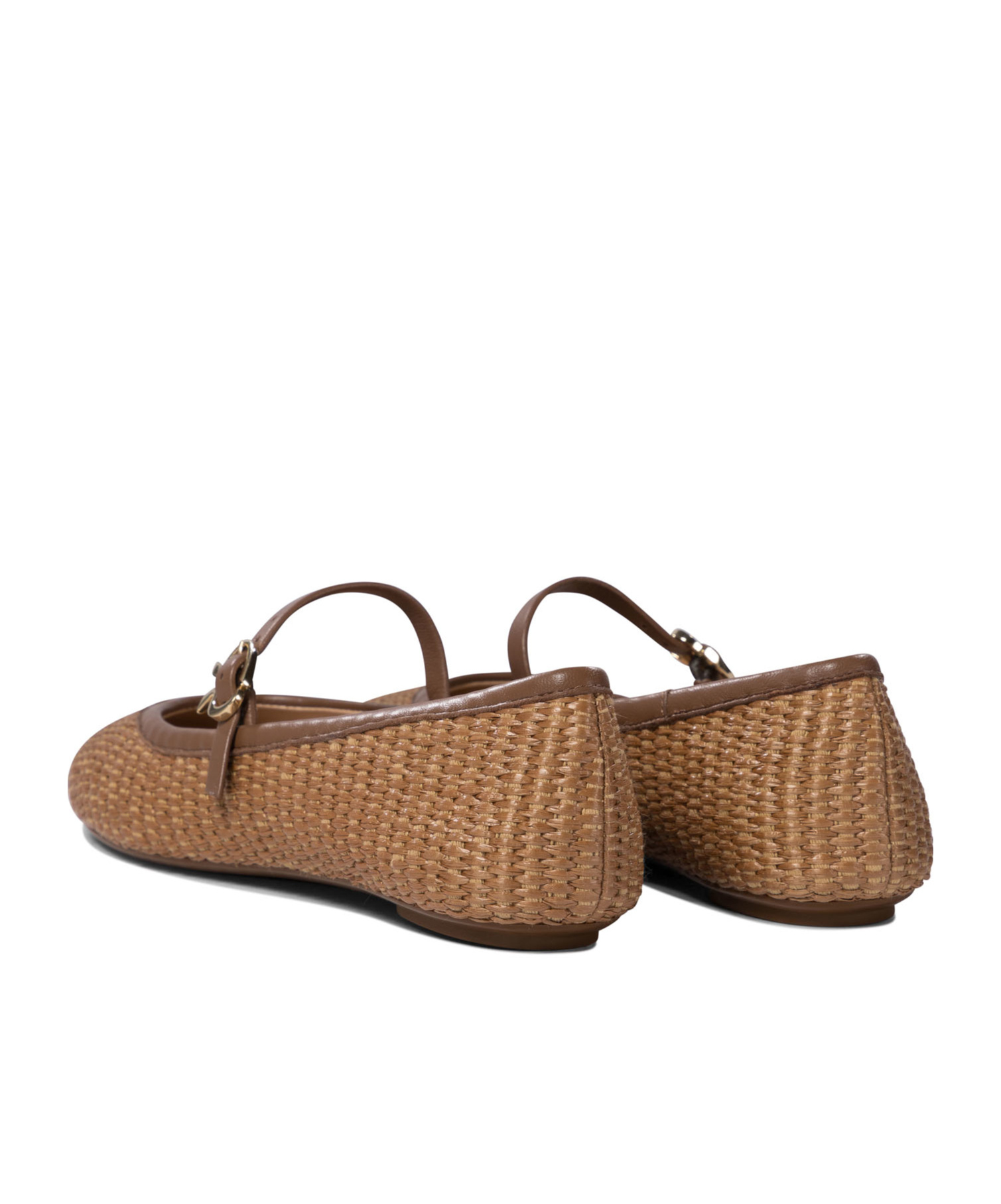 Gianvito Rossi Ballet Flats In Brown