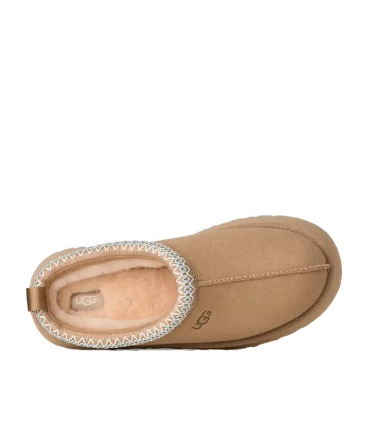Ugg Tazz Wool-blend Fleece-lined Embroidered Suede Platform Slippers In Brown
