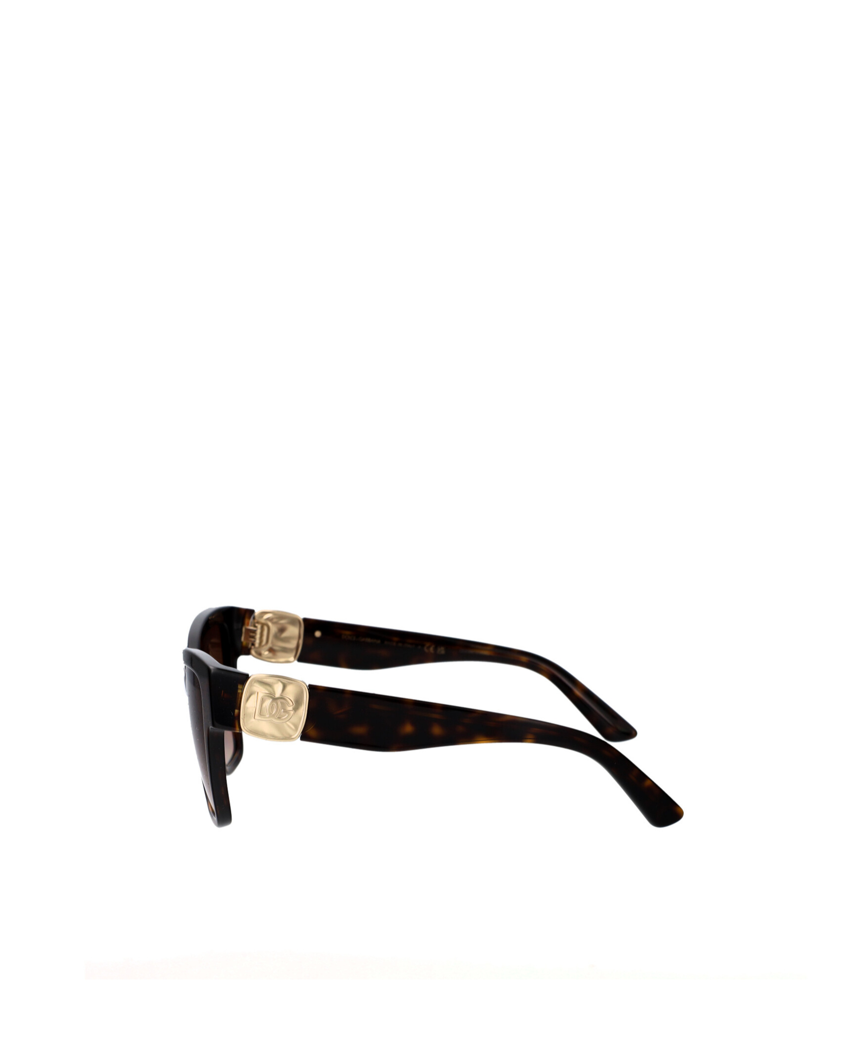 Dolce & Gabbana Full Frame Sunglasses In Havana