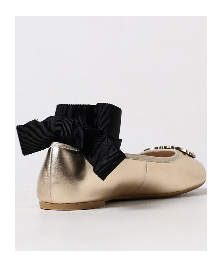 Pinko Gioia Birds Ballerina Shoes In Multicolor