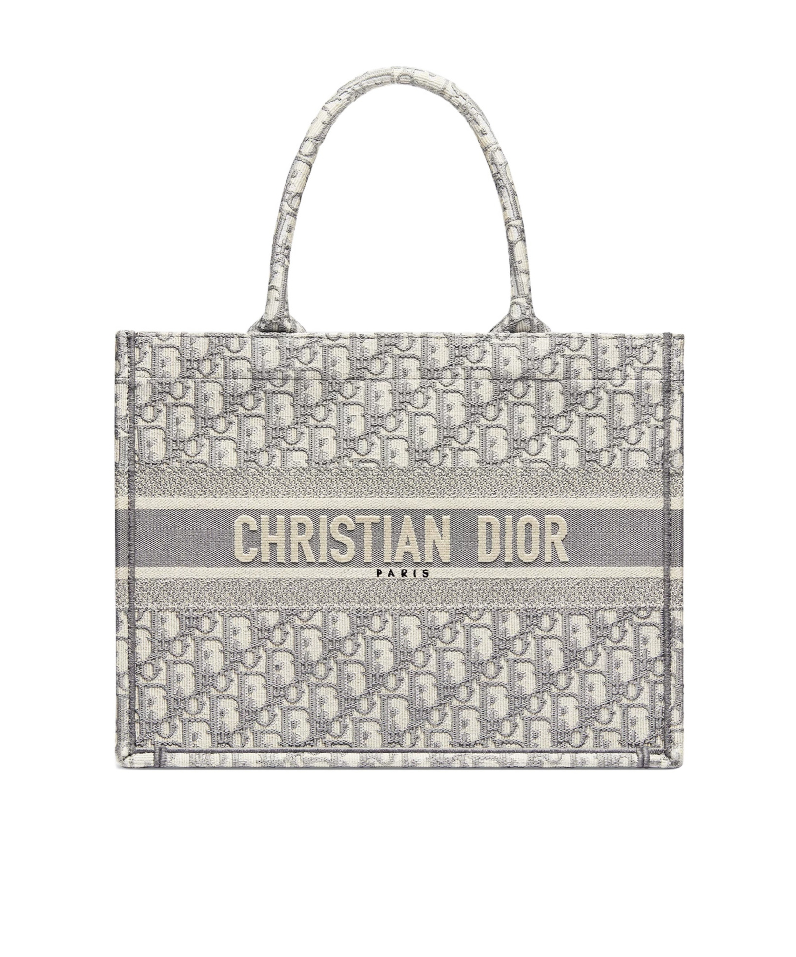 Dior Pattern Handbag In Gray