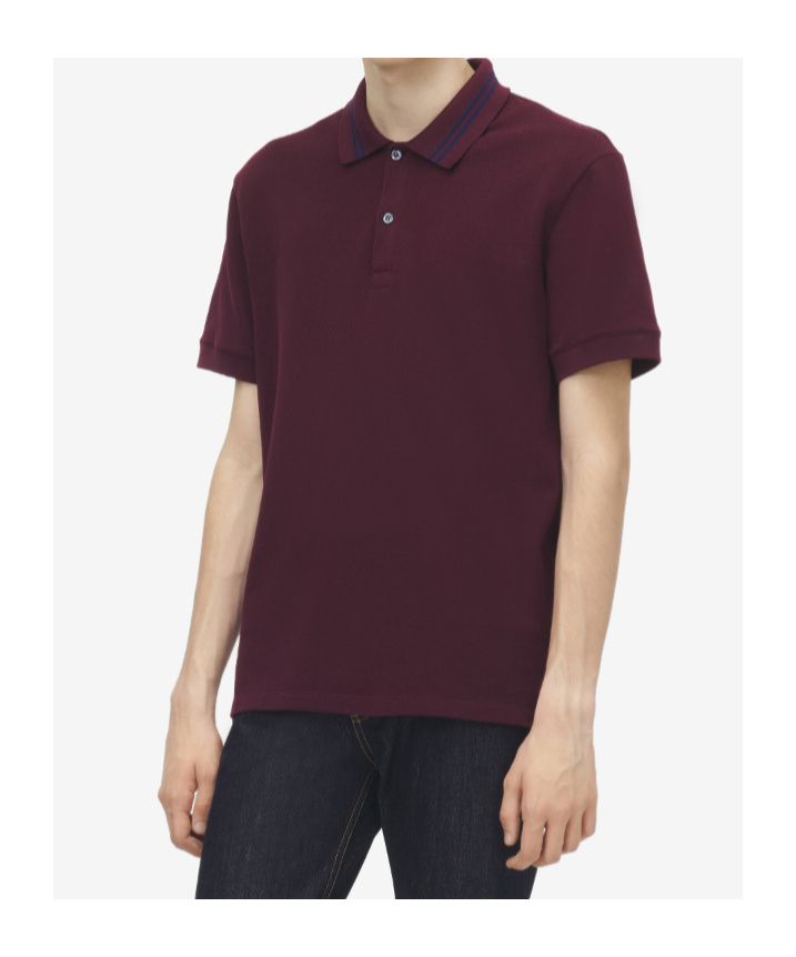 Alexander Mcqueen Men Polo Shirt With Logo On The Collar In Burgundy