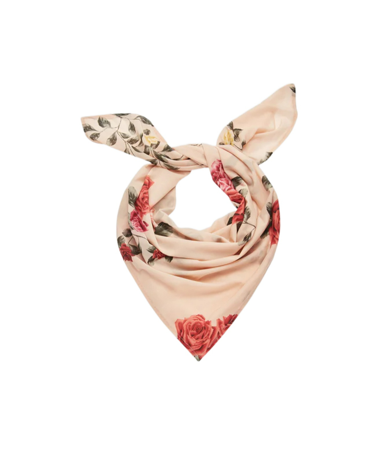 Magda Butrym Rose Print Scarf In Beige