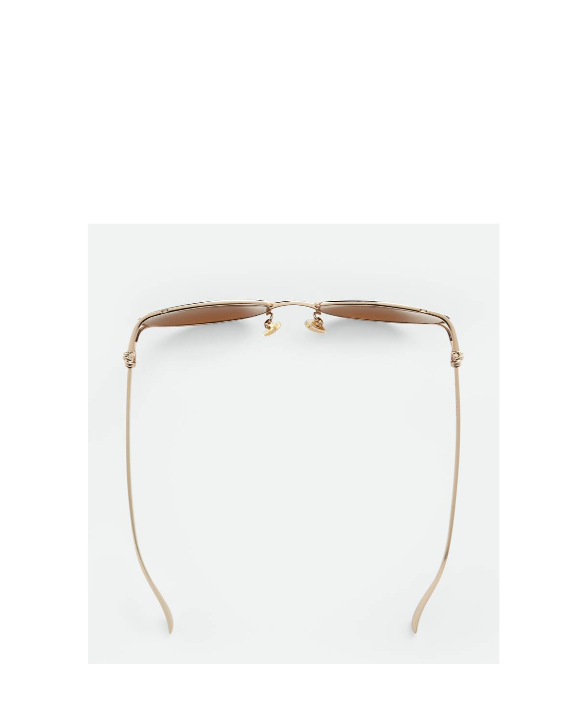 Bottega Veneta Eyewear Cat Eye Frame Sunglasses In Brown