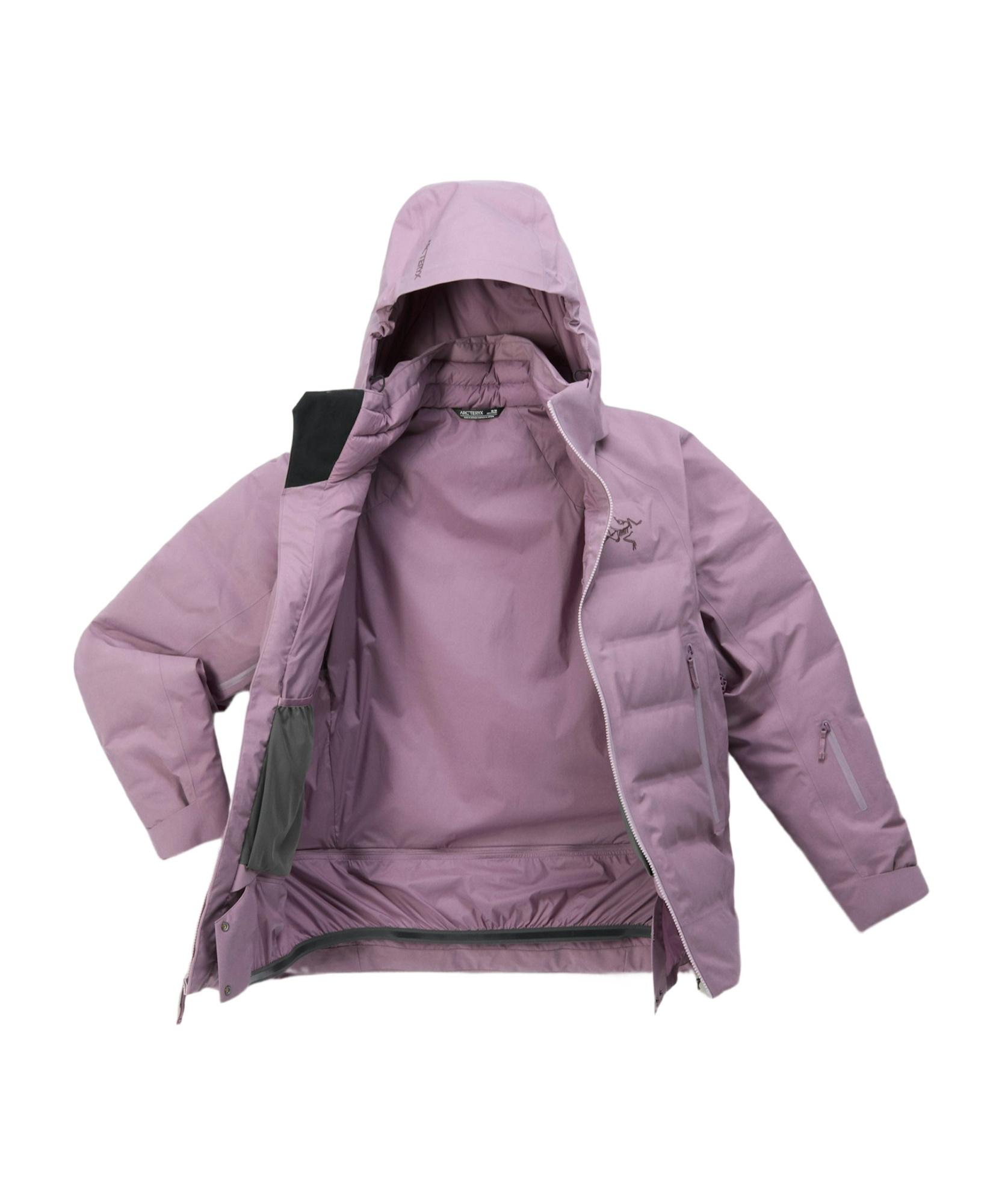 Arc'teryx Fisail Gore-tex Down Jacket In Interstellar