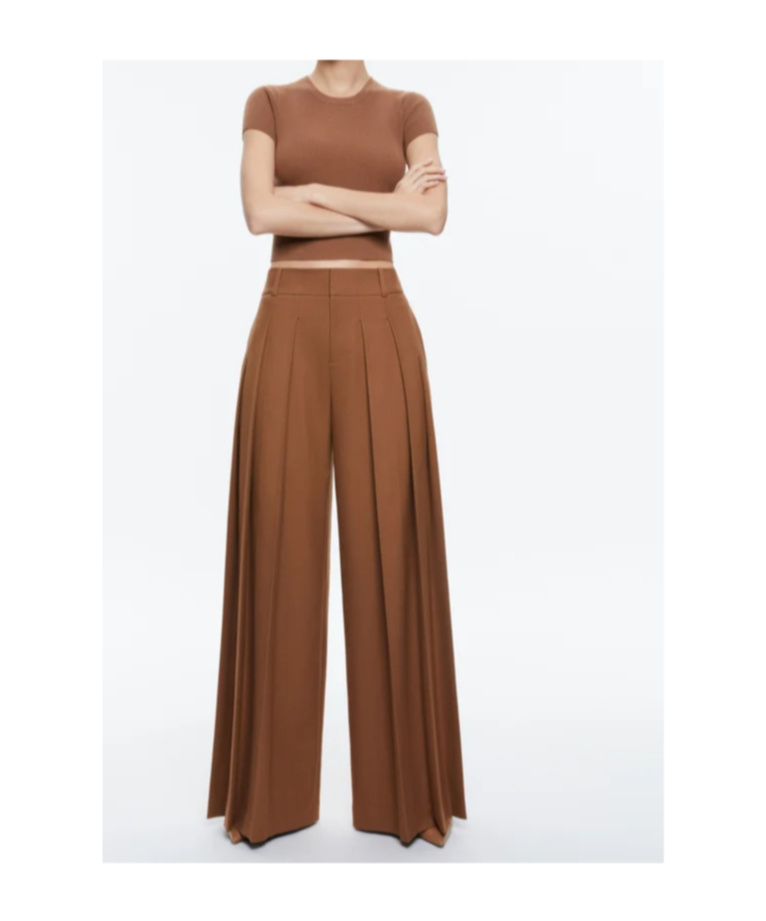 Alice And Olivia Belt-loop Casual Pants In Brown