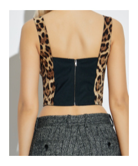 Dolce & Gabbana Leopard-print Bustier Top In Brown