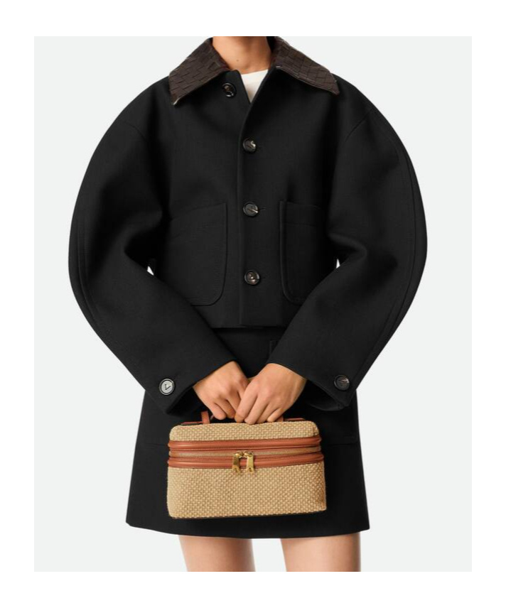 Bottega Veneta Bang Bang Vanity Case In Brown