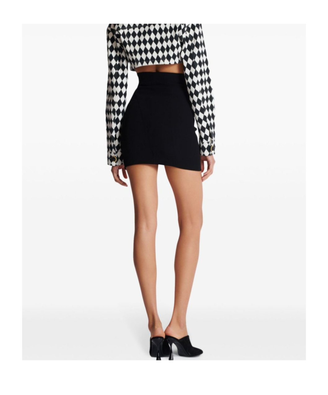 Balmain Skirt In Black