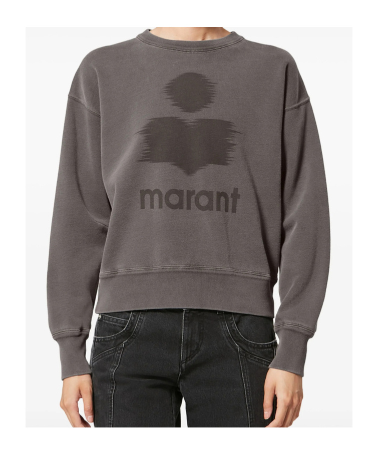 Isabel Marant Étoile Moby Logo Sweatshirt In Animal Print
