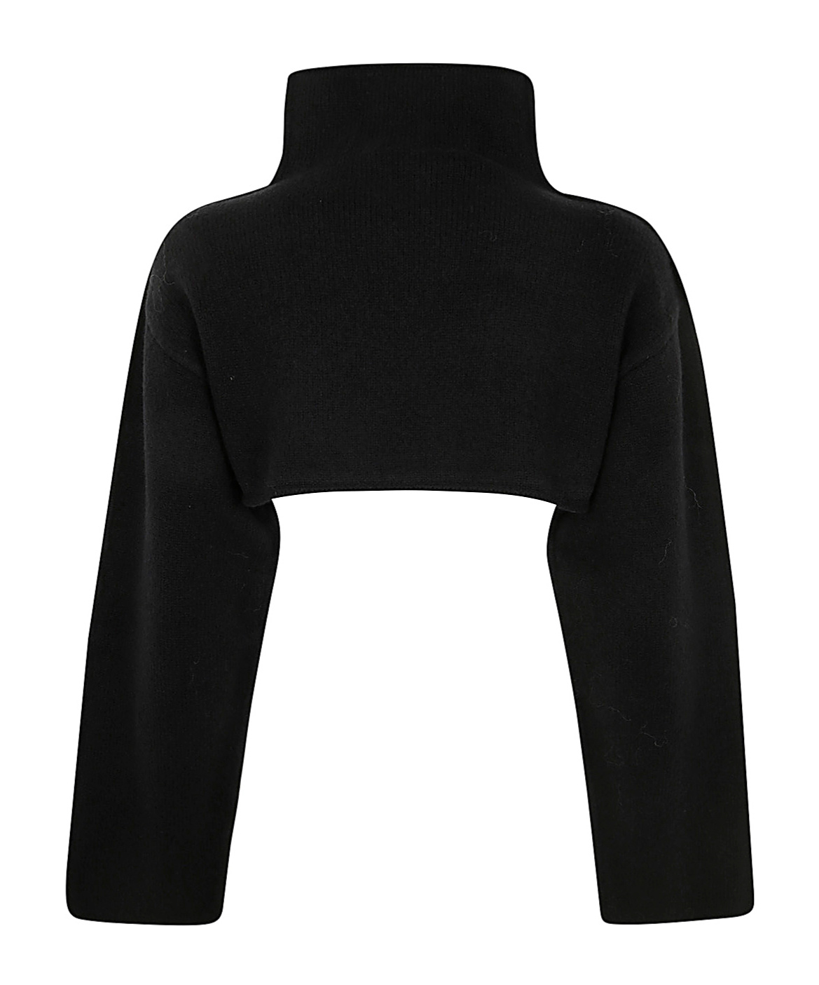 Marni Cropped Wool Turtleneck Sweater In Black