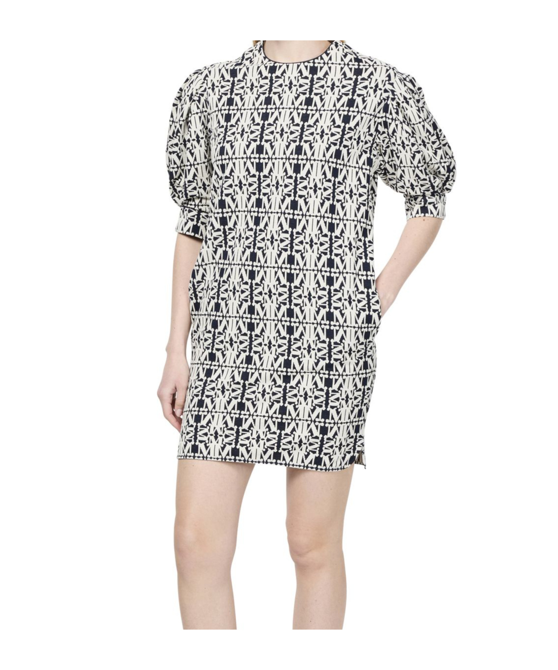 Max Mara Buttoned Puff Sleeve Textured Fabric Dress In Gray