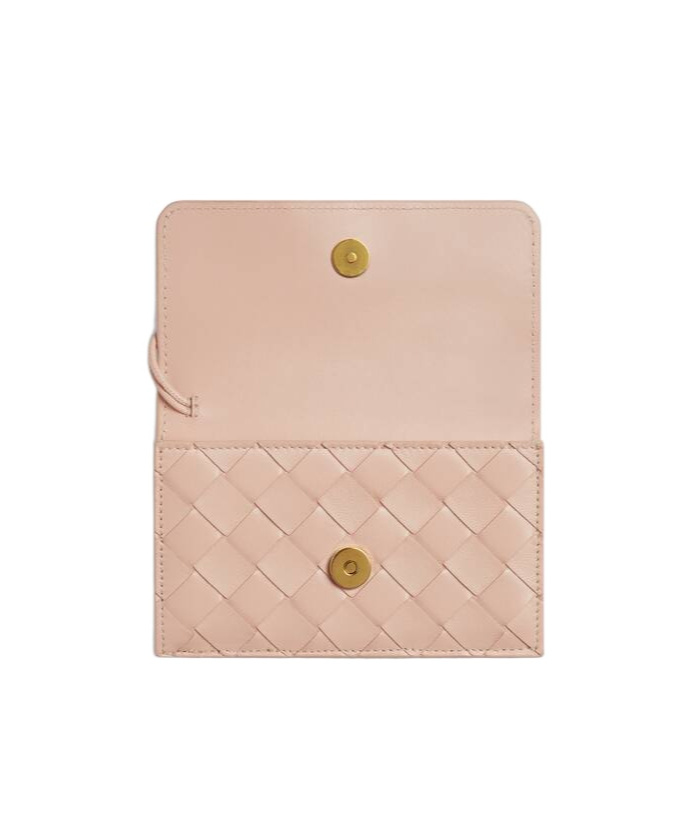 Bottega Veneta Andiamo Zipper Card Bag In Nude