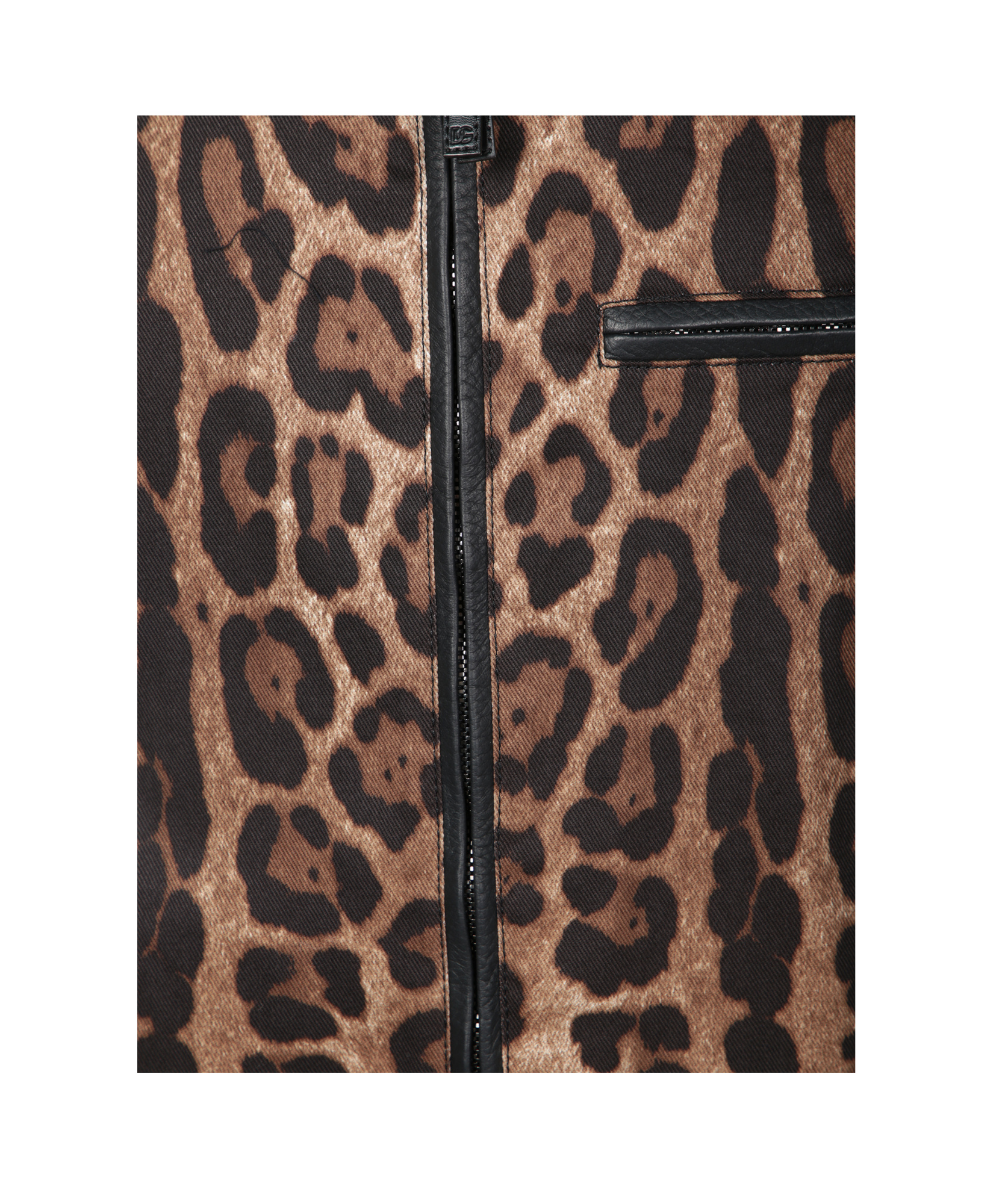 Dolce & Gabbana Leopard Print Jacket With Black Leather Collar In Animalier Brown