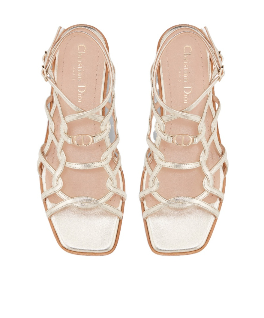 Dior Logo Flat Sandals In Nude