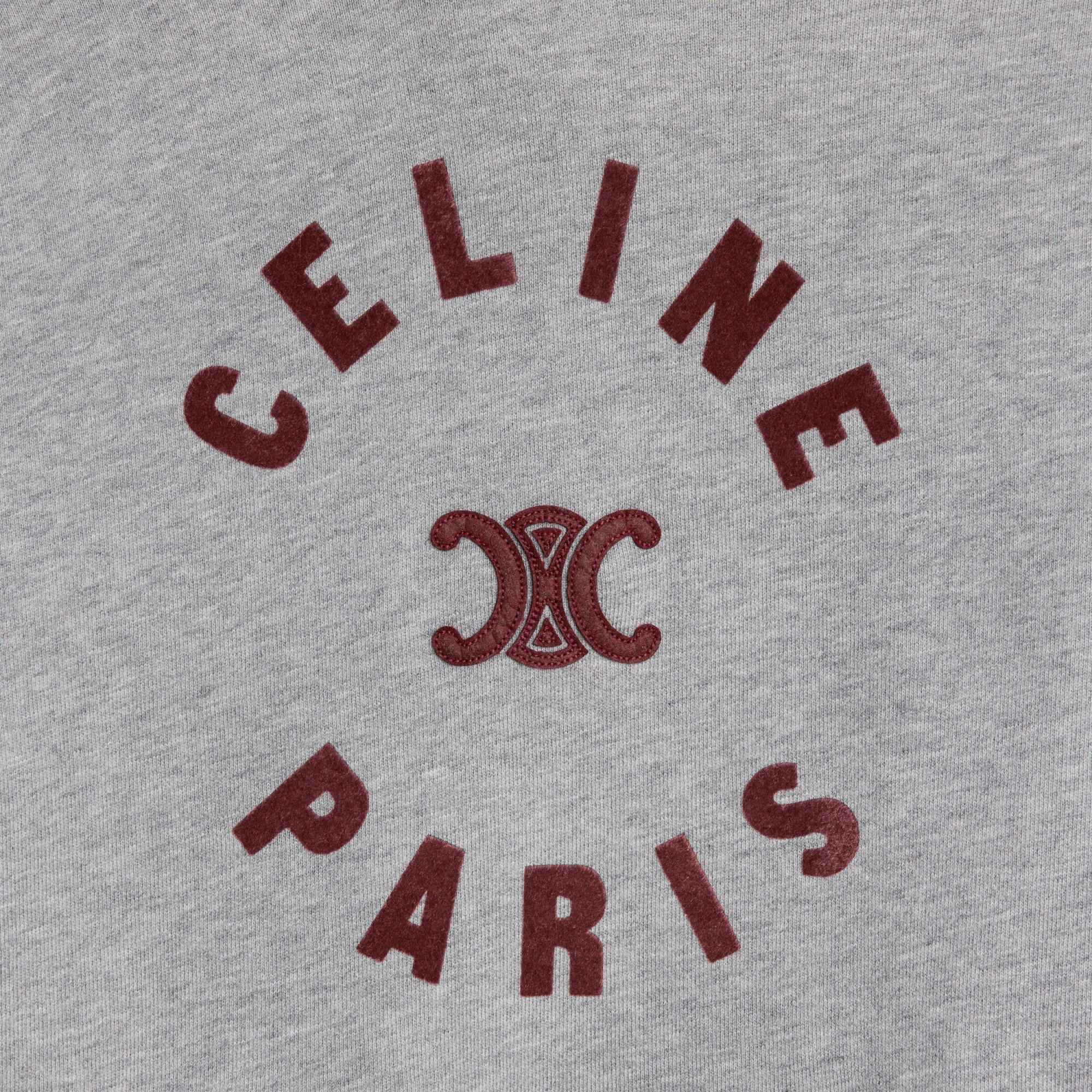 Celine Triomphe Cotton Fleece Hoodie In Gray