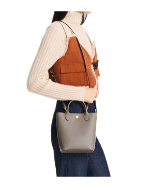 Longchamp Epure Xs Tote Bag In Gray