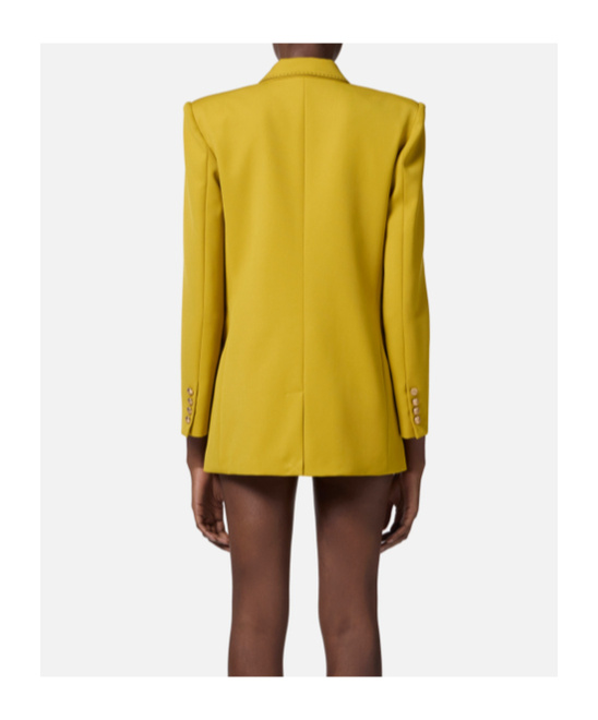 Elisabetta Franchi Double-breasted Blazer In Brown