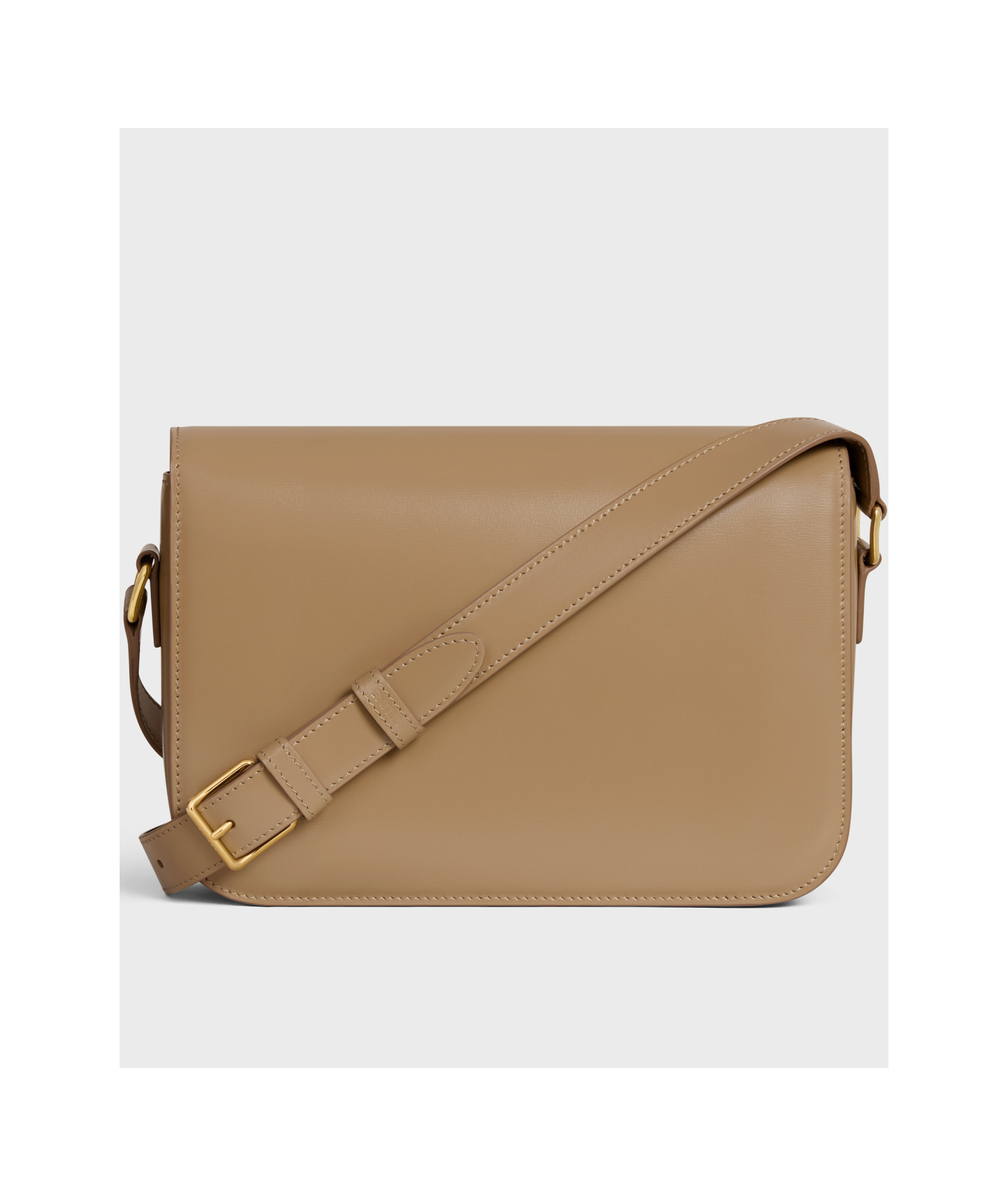 Celine Women Triomphe Classique Borsa A Tracolla In Brown