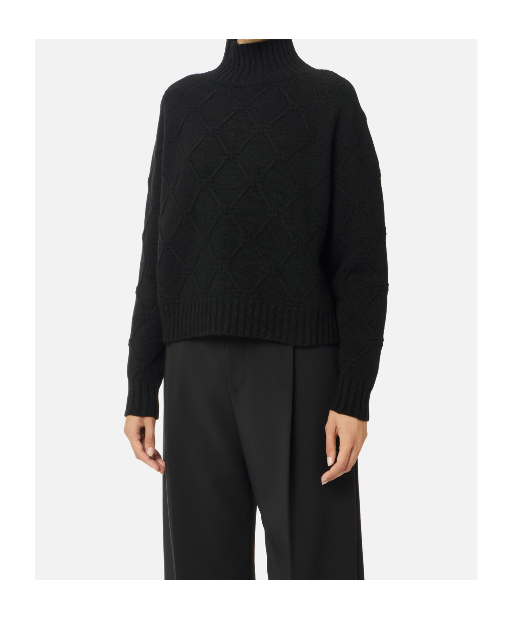 Elisabetta Franchi High-neck Sweater In Black