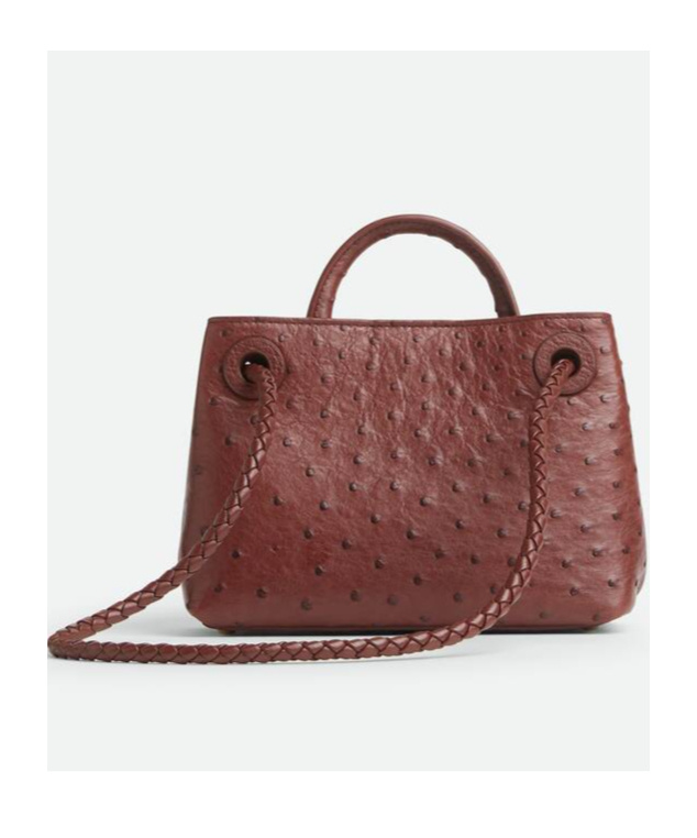 Bottega Veneta Mini Andiamo In Red