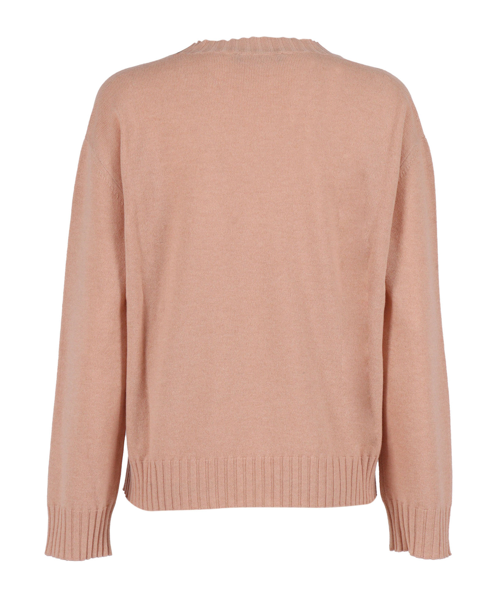 Fabiana Filippi V-neck Embellished Sweater In Brown