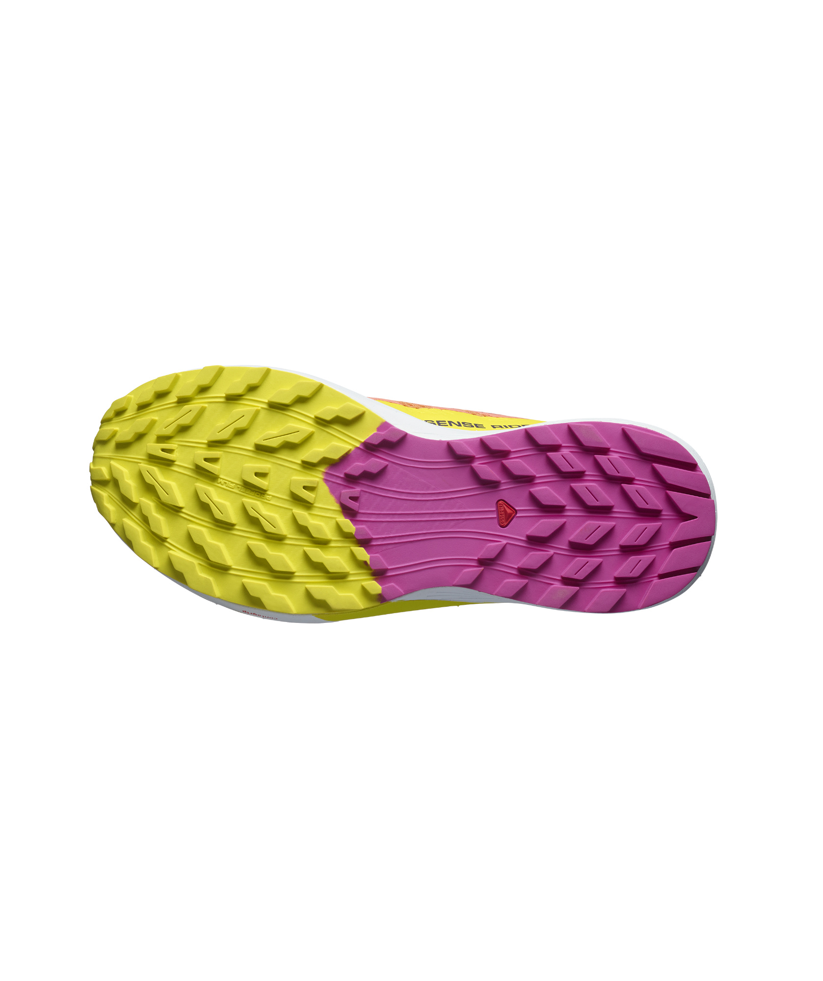 Salomon Sense Ride 5 Cross-country Running Shoes In Multicolor
