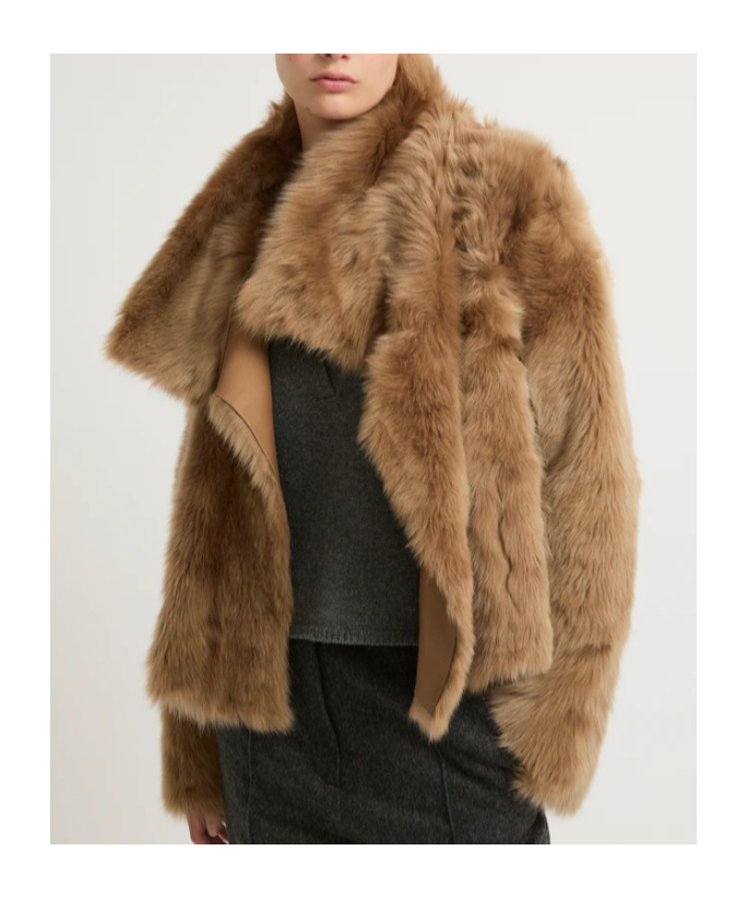 Shop Yves Salomon Shearling Stand Up-collar Jacket In Brown
