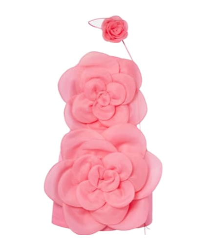 Leo Floret Floral-appliqué Bustier Dress In Pink