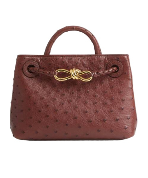 Bottega Veneta Mini Andiamo In Red