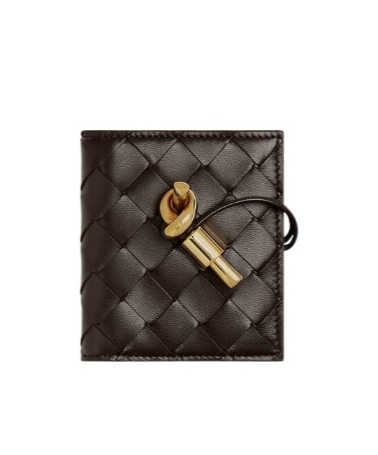 Bottega Veneta Andiamo Flap Card Case