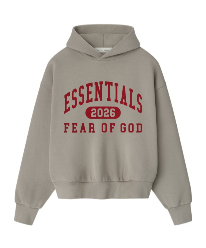 Essentials Classic Hoodie In Gray