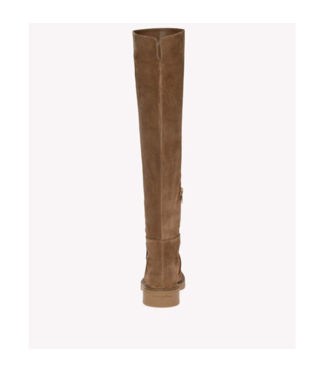 Gianvito Rossi Lexington Over-the-knee Suede Boots In Brown