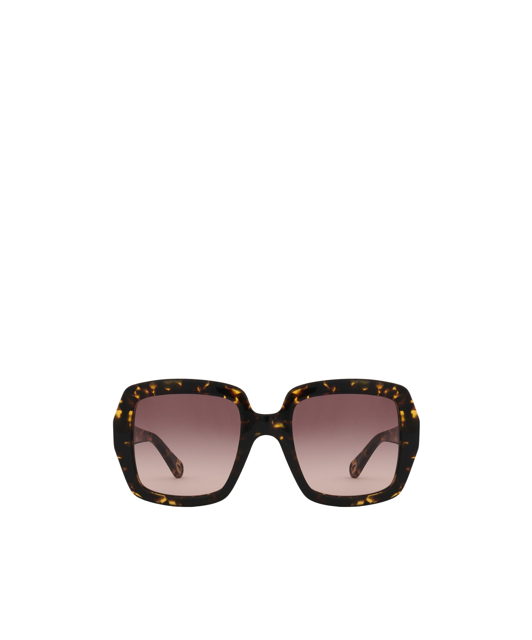 Chloé Full Frame Sunglasses In Black