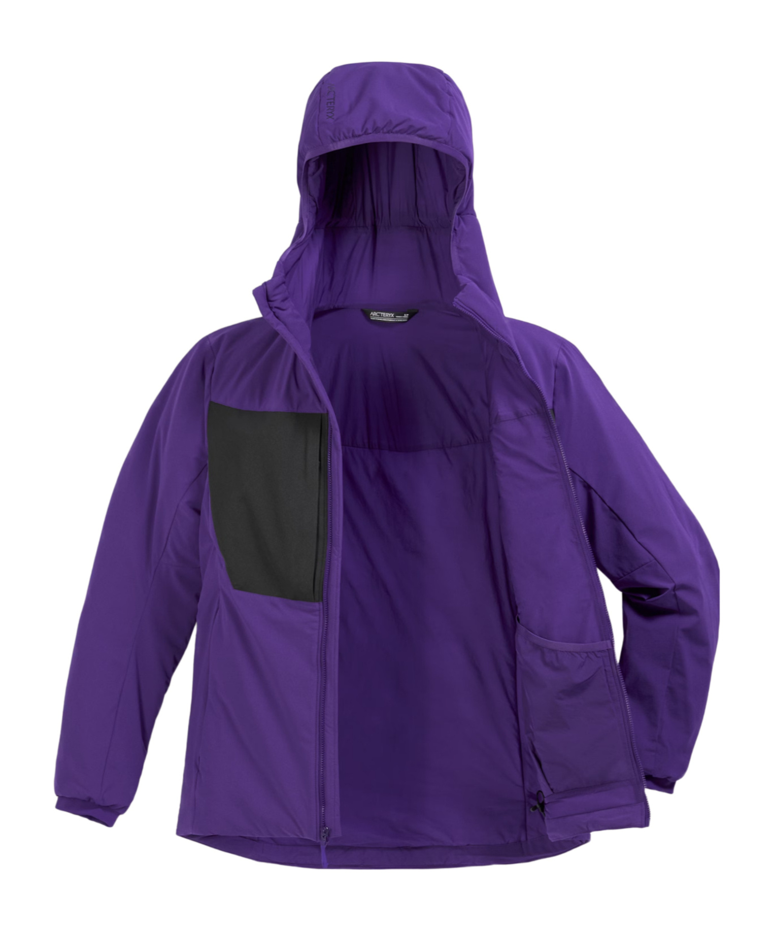 Arc'teryx Proton Heavyweight Hoody Women's In Purple