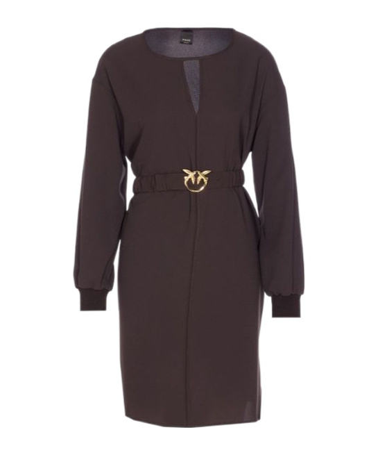 Pinko Love-birds Bucke Belted Crewneck Short Dress In Brown