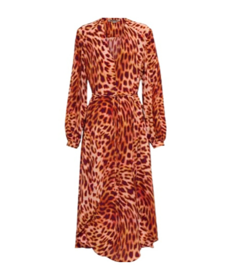 Stella Mccartney Cheetah-print Silk Maxi Dress In Red