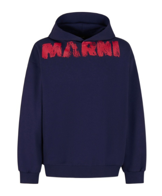 Marni Graphic Print Hooded Sweater With Ribbed Finish In Blue