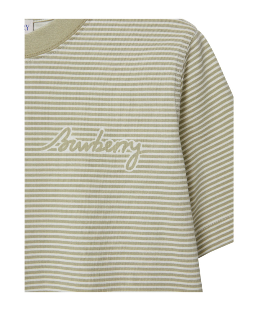 Burberry Striped T-shirt In Green
