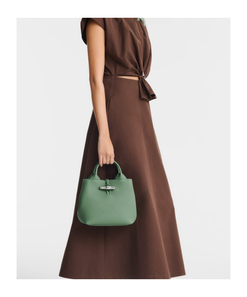 Longchamp Le Roseau S Handbag