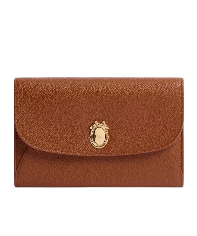 Dior Médaillon Envelope Pouch With Strap In Brown
