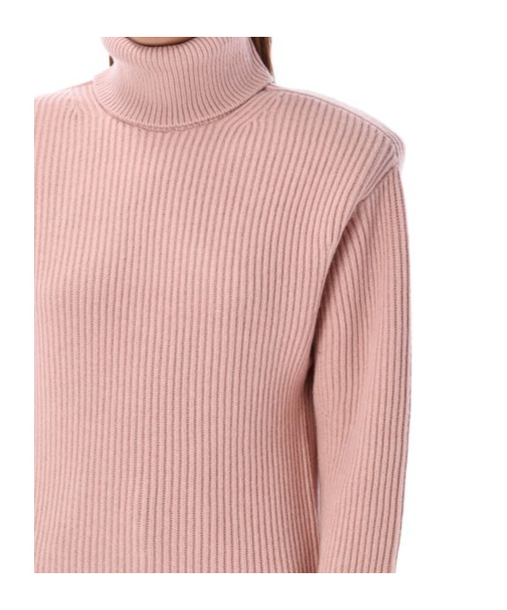 Stella Mccartney Women's High Neck Cashmere Sweater In Pink