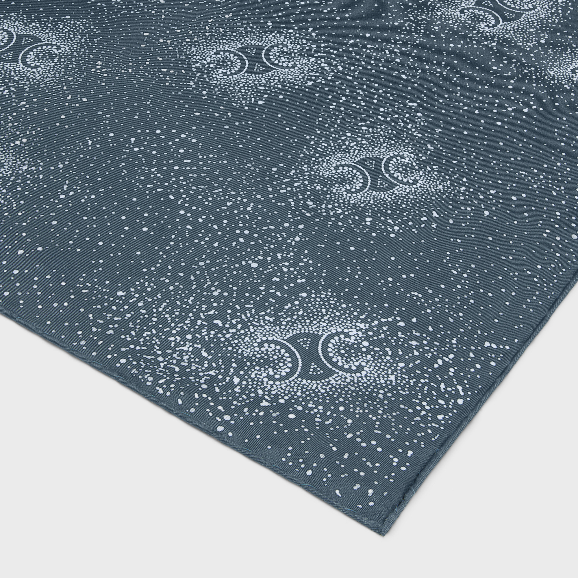 Celine Triumphant Pattern Scarf In Blue