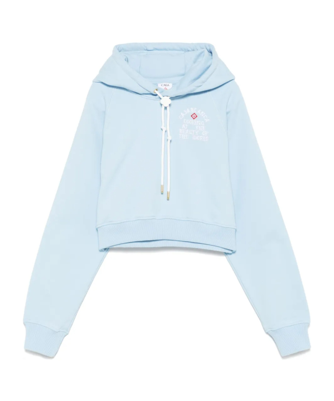 Casablanca Looking At The Beauty Of The World Cropped Hoodie In Blue