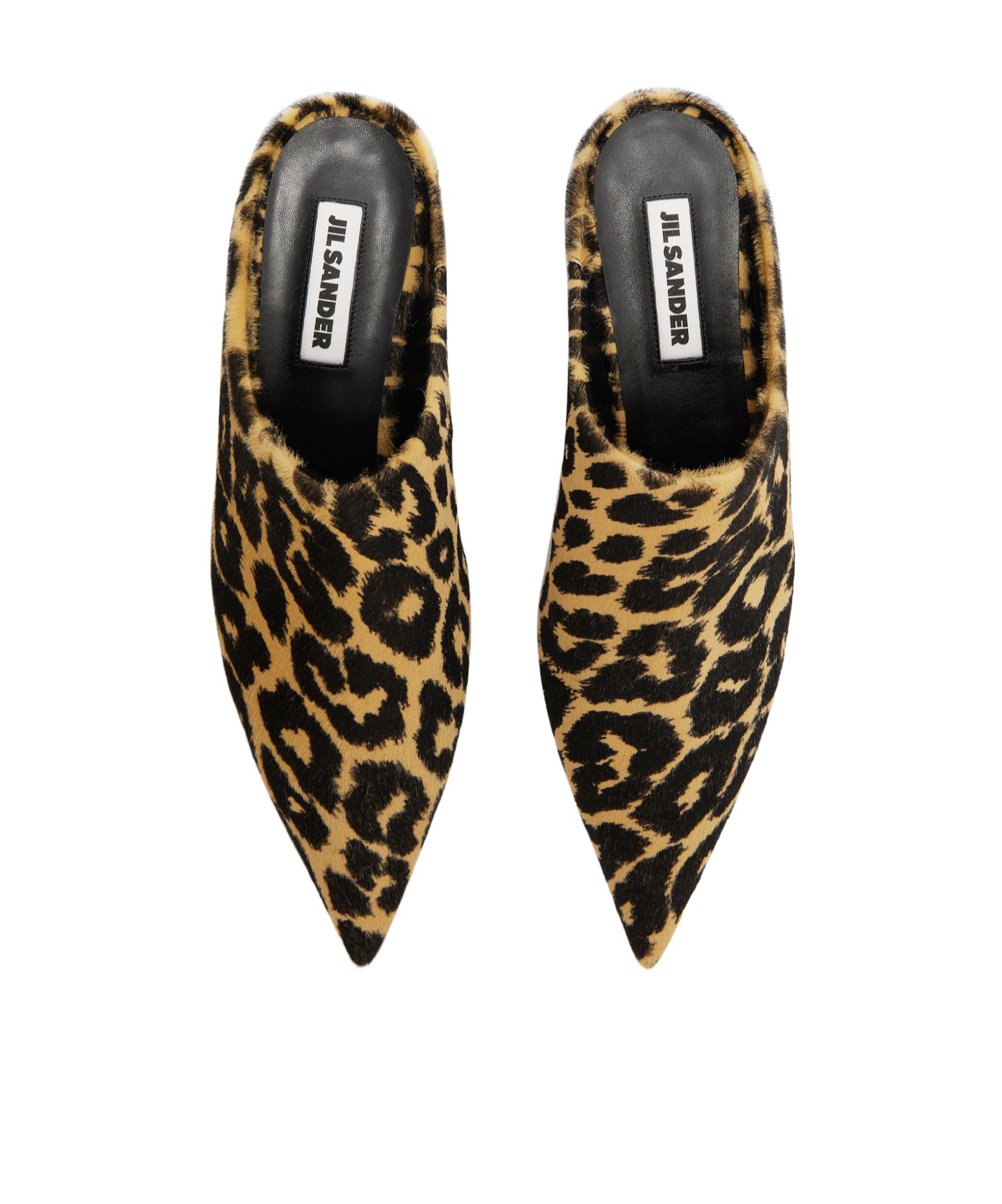 Jil Sander Pointy Leopard-print Calf Hair Mules In Multi
