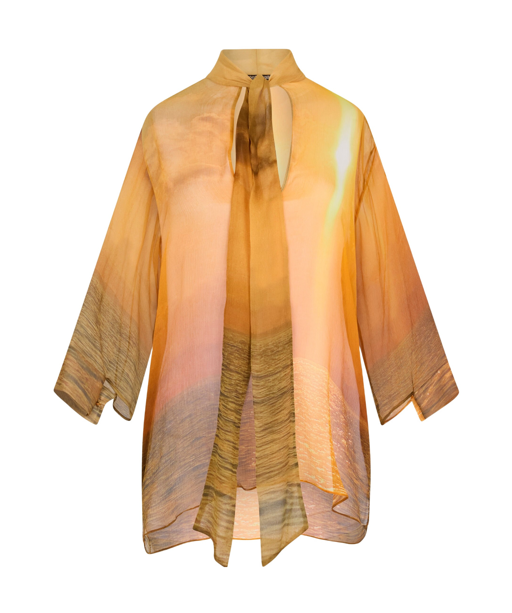Shop Roberto Cavalli Printed Silk Blouse In Orange