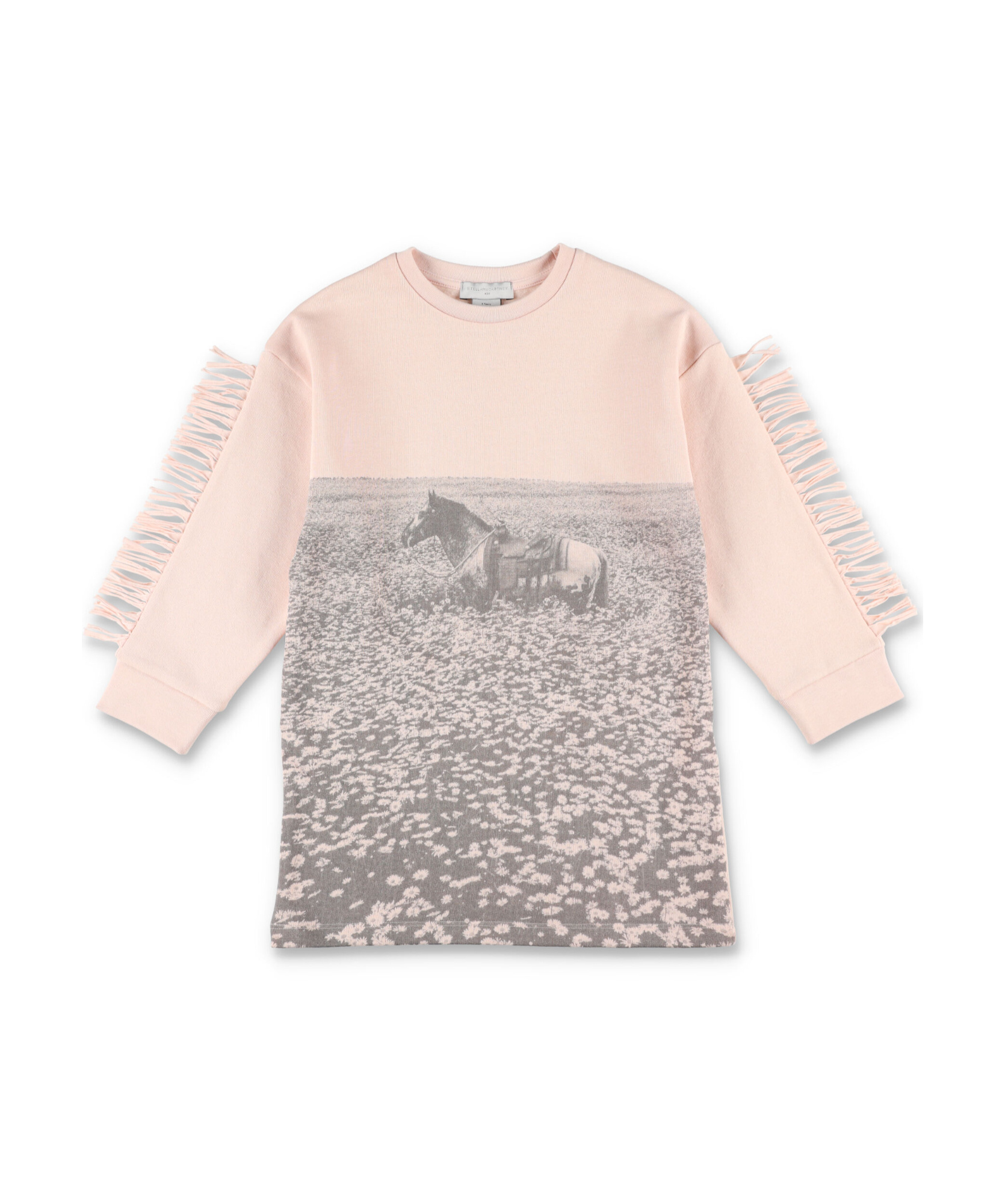 Stella Mccartney Kids Graphic Printed Fringe Detailed Dress In Nude