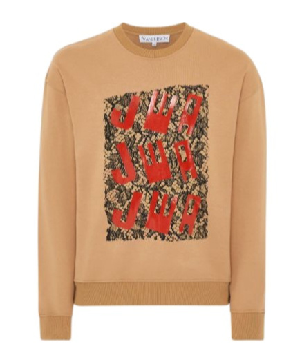 Jw Anderson Sweatshirt With Printed Lace Frontpanel In Nude
