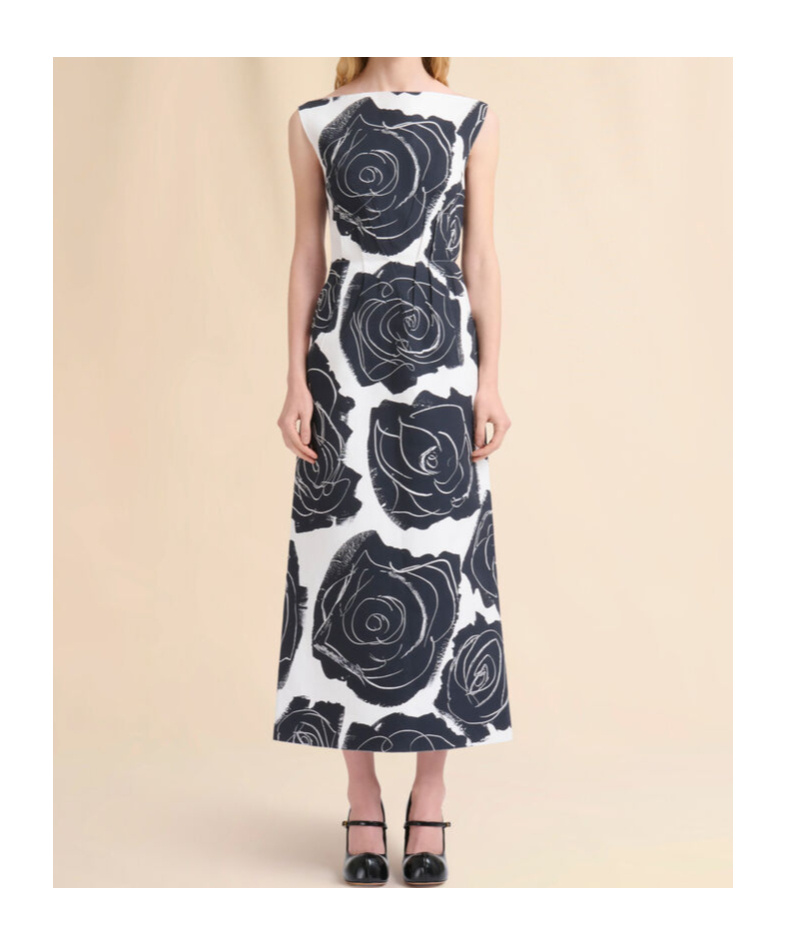 Marni Cybele Print Cotton Poplin A-line Dress In Multi